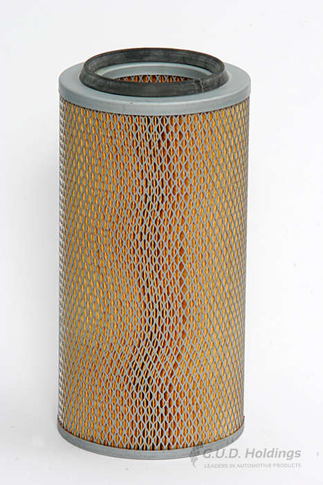 Air Filter - ADG919 (GUD)
