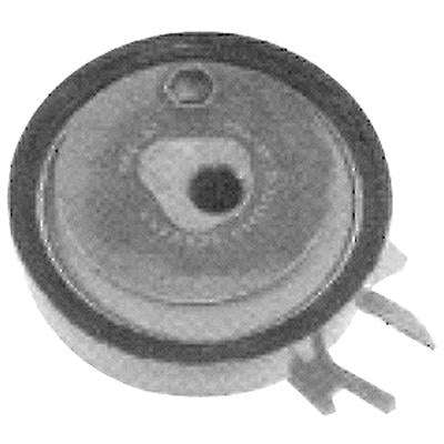 Cambelt Tensioners & Rollers - Bt3160 (Doe)