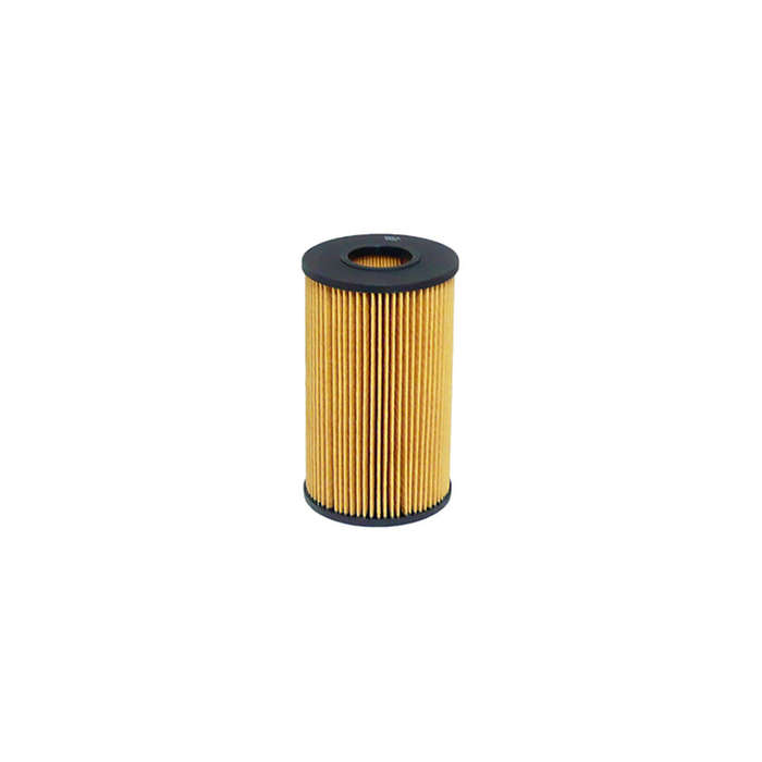 Fram Filter - M105Fr - Ch10295Eco