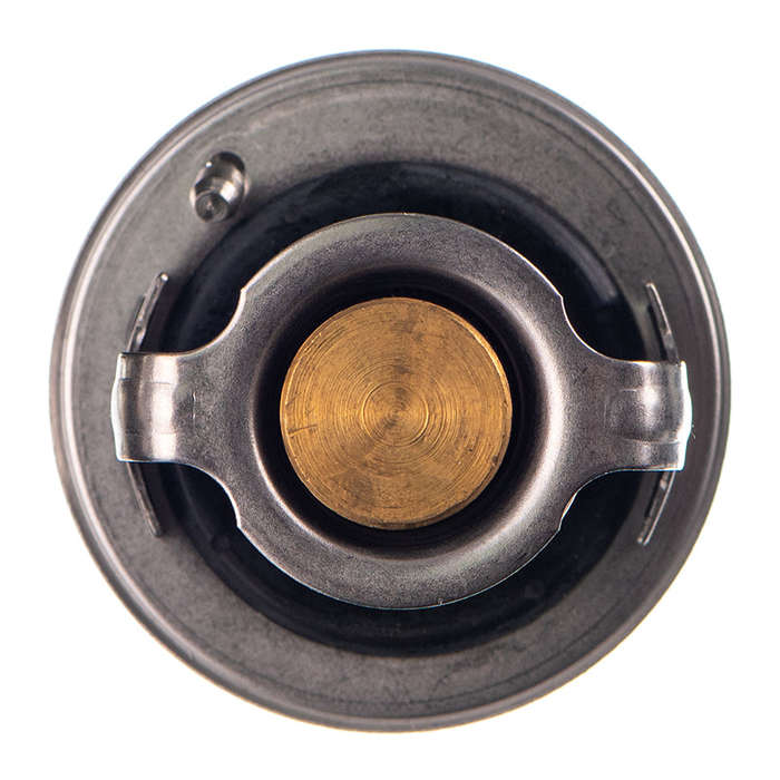 Thermostat - To5288G