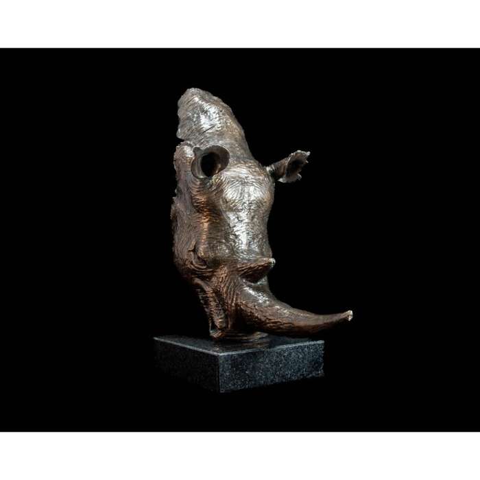 White Rhino Head on Marble Base Bronze Sculpture