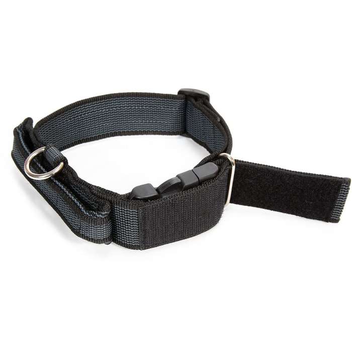 Julius K-9 Collar with Handle