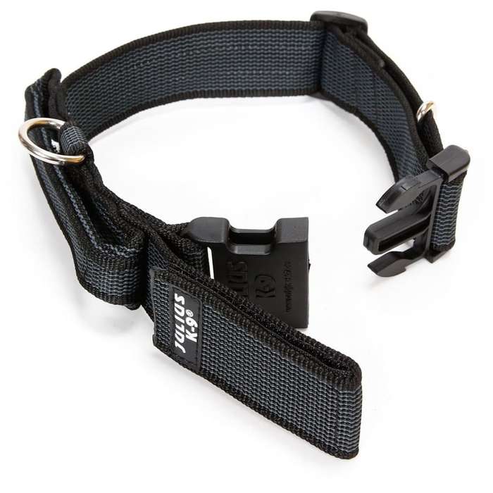 Julius K-9 Collar with Handle