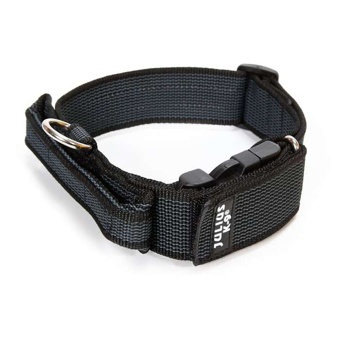 Julius K-9 Collar with Handle