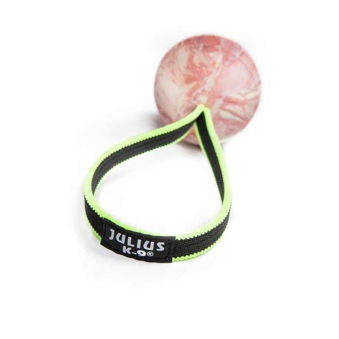 Julius K-9 Duo Play Ball