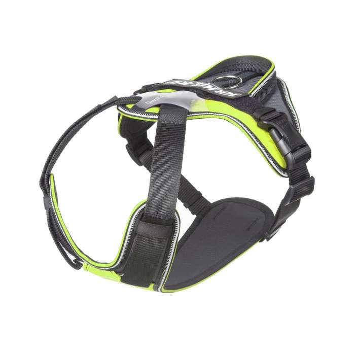 Julius K9 IDC Longwalk Harness