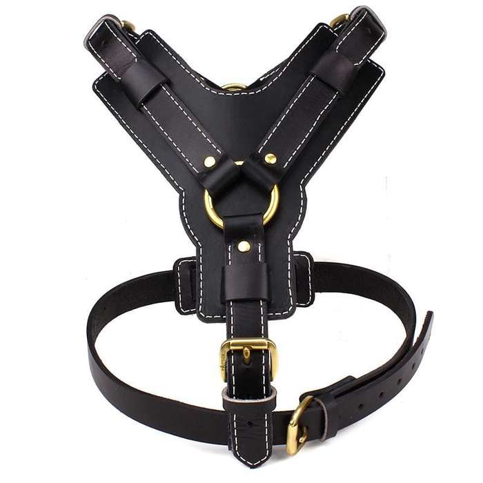 Strong Leather Harness