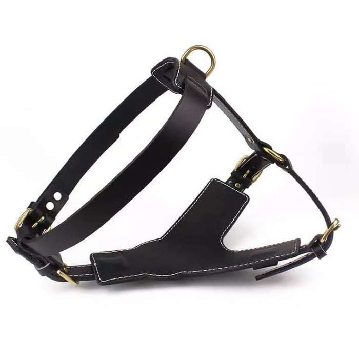 Strong Leather Harness