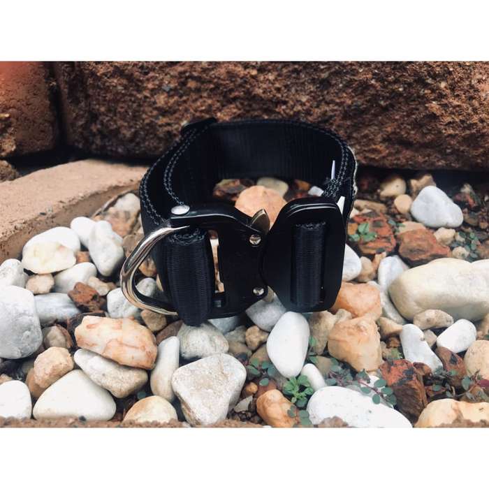 War Dog ECHO SOFT Collar - 38mm