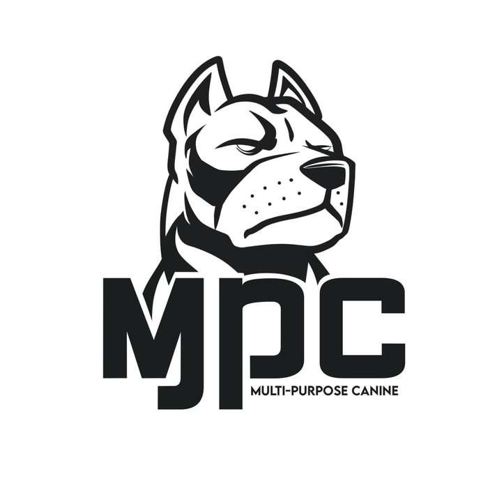 War Dog MPC Harness - ELITE