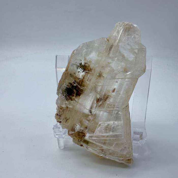 Fishtail Selenite Quartz Crystal - Africa