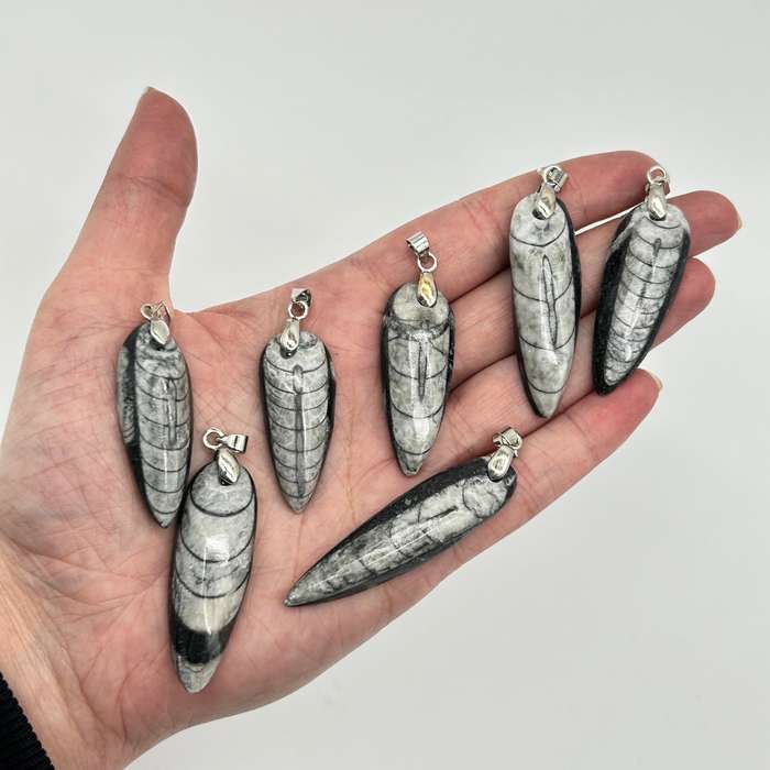 Trilobite Crystal Pendant