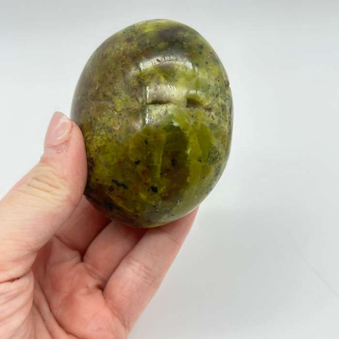 Green Opal Palm Stone From Madagascar