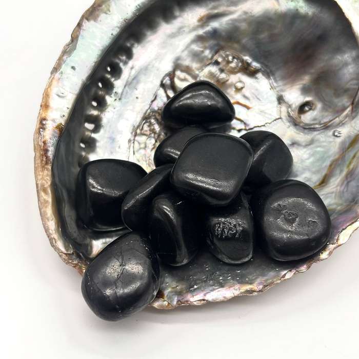 Shungite Large Tumbled