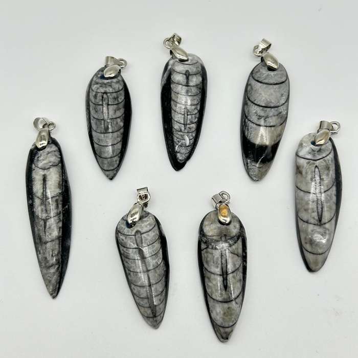 Trilobite Crystal Pendant