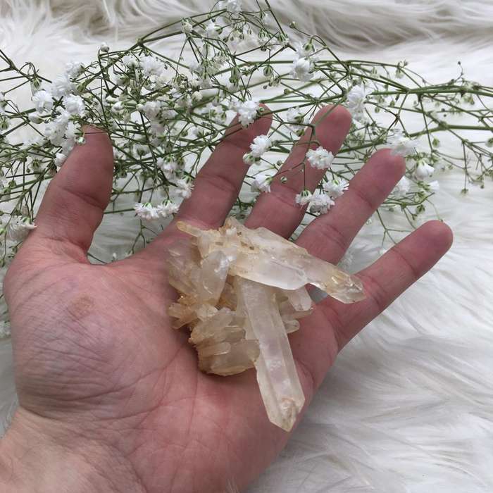Clear Quartz Cluster