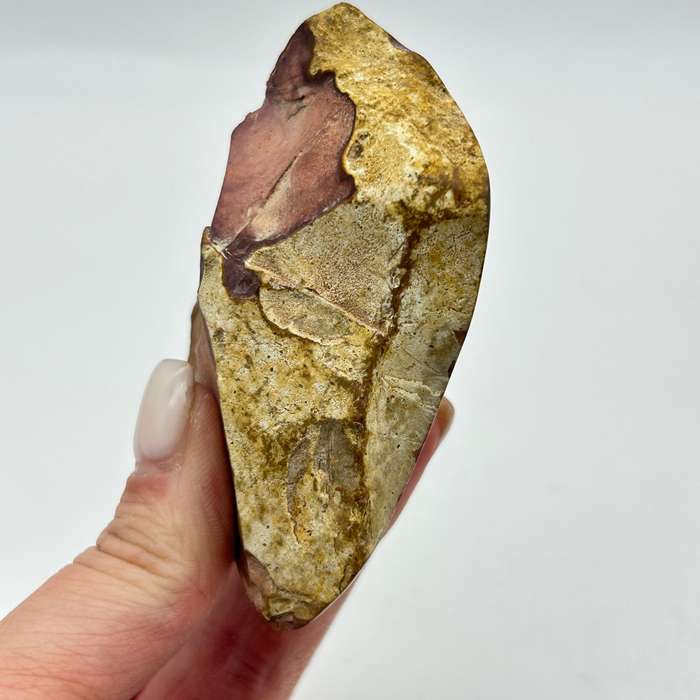 Polychrome Jasper