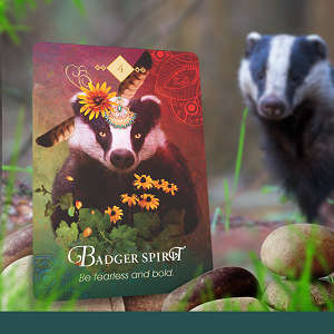 The Spirit Animal Oracle by Colette Baron Reid