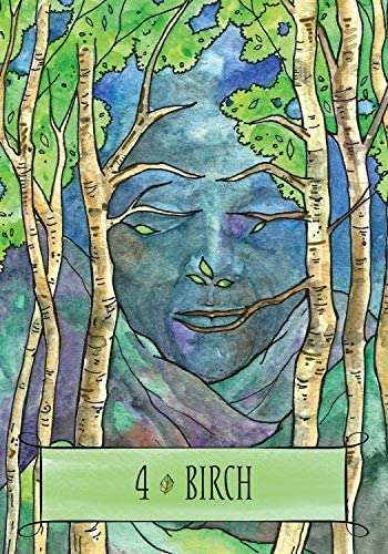 The Earthcraft Oracle by Juliet Diaz & Lorriane Anderson
