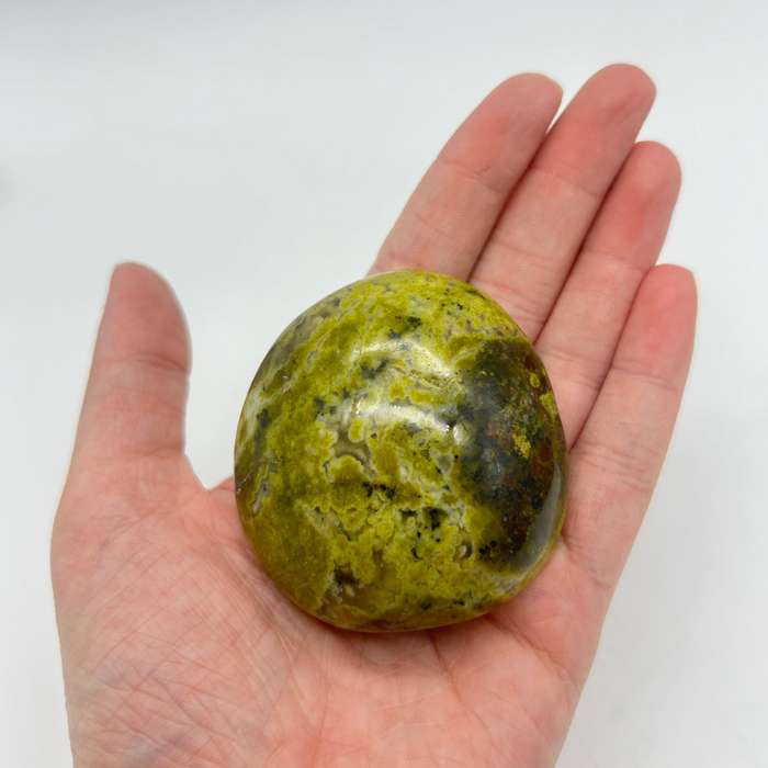 Green Opal Palm Stone From Madagascar