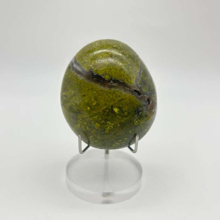 Green Opal Palm Stone From Madagascar