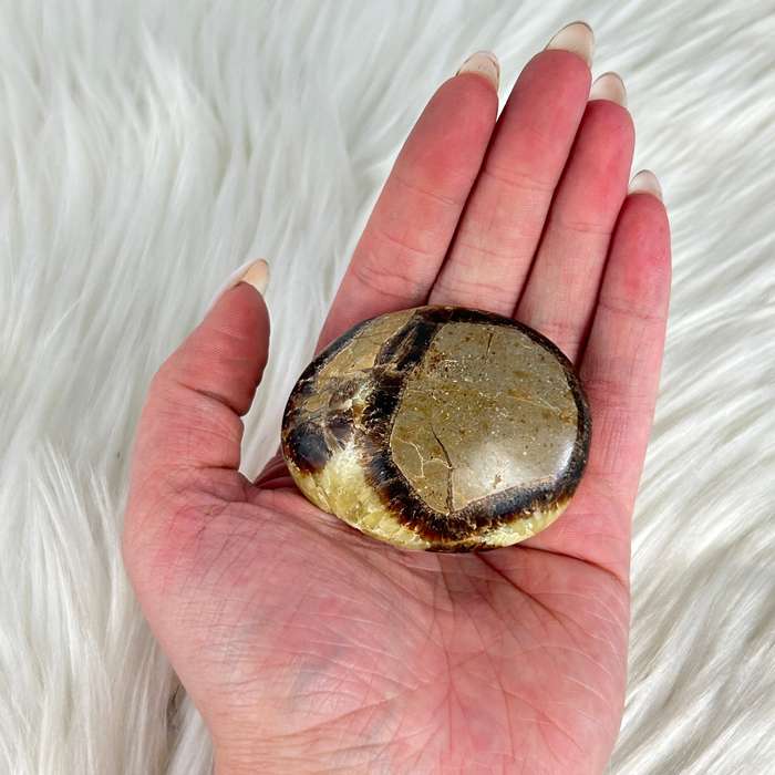 Septarian Palm Piece