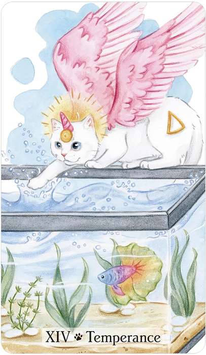 Caticorn Tarot by Pamela Chen