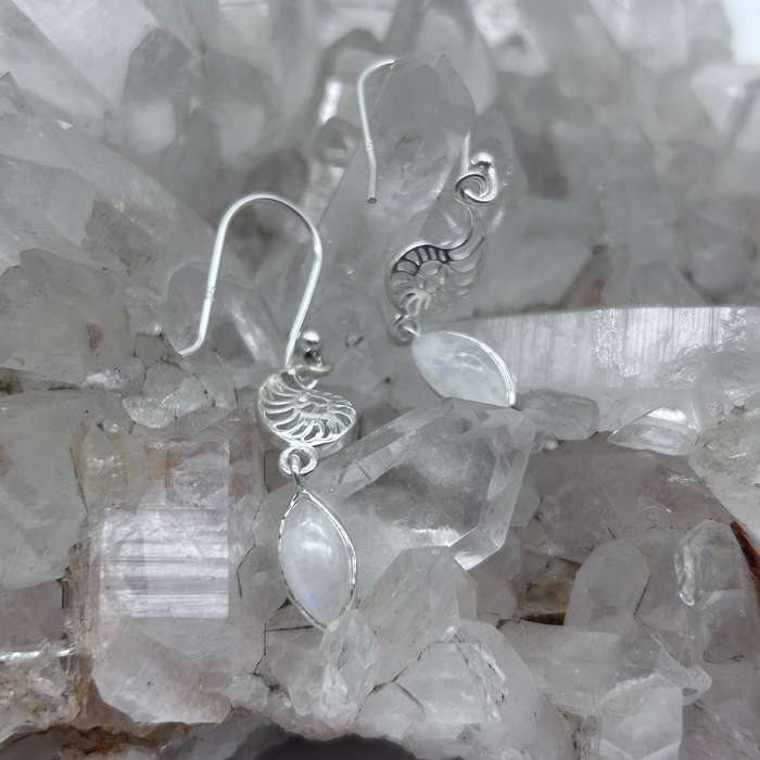 Sterling Silver Moonstone Shell Earrings