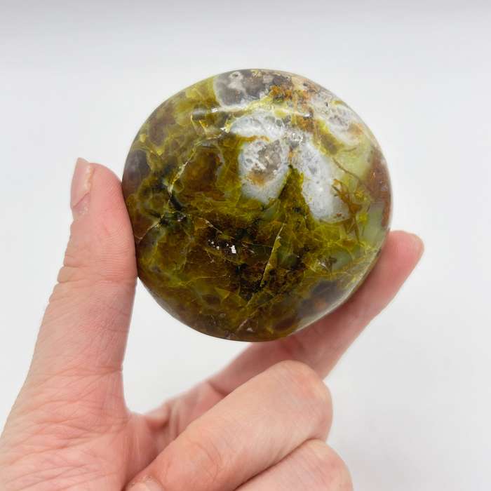 Green Opal Palm Stone From Madagascar