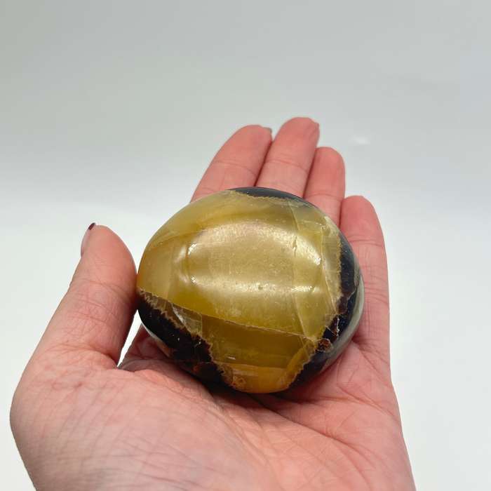 Septarian Dragon Stone Crystal Palm Piece