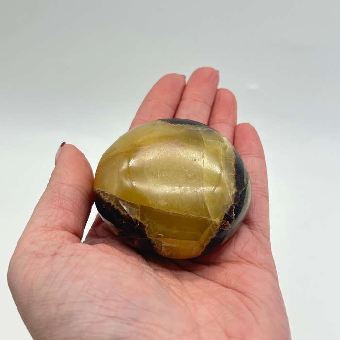 Septarian Dragon Stone Crystal Palm Piece