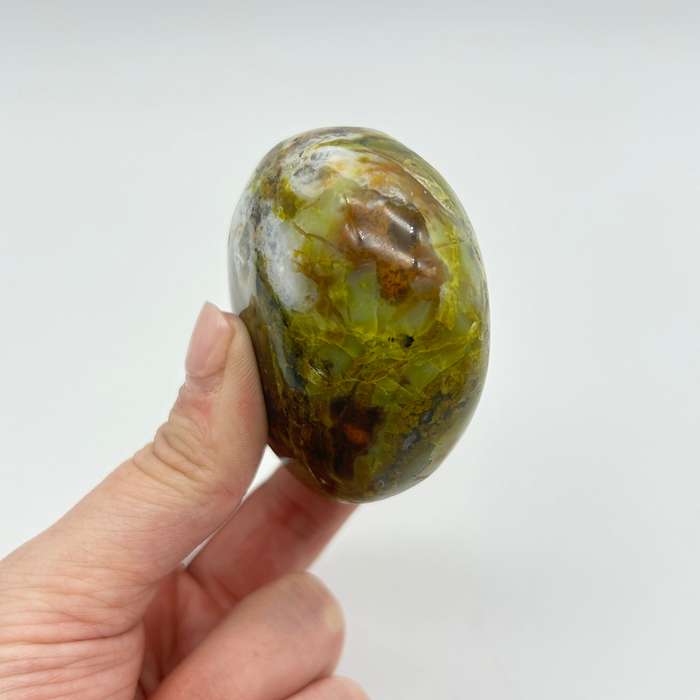Green Opal Palm Stone From Madagascar