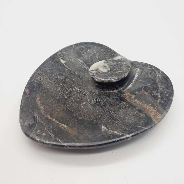 Goniatite Heart Shaped Dish