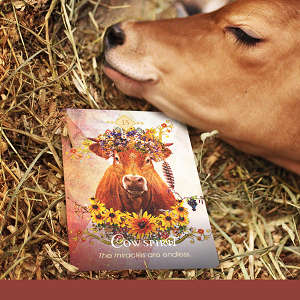 The Spirit Animal Oracle by Colette Baron Reid