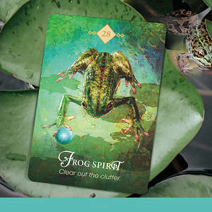 The Spirit Animal Oracle by Colette Baron Reid