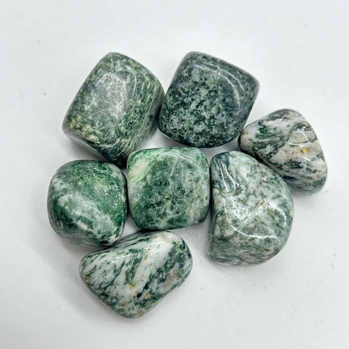 Tumbled Tree Agate