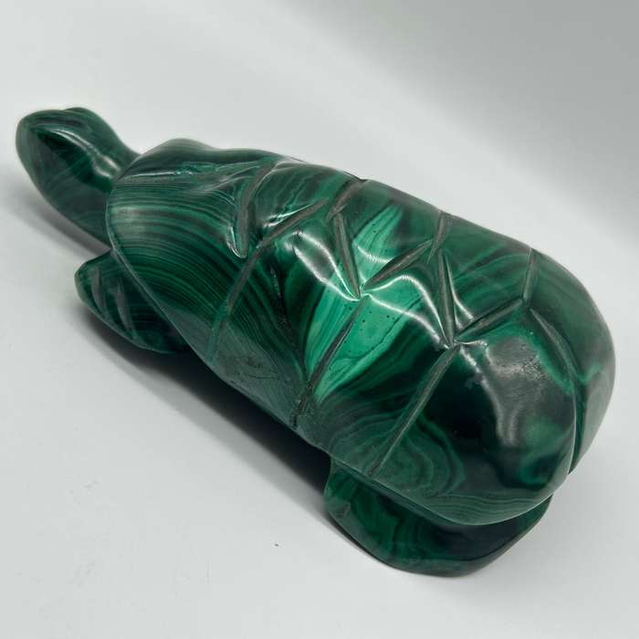 Malachite Crystal Tortoise