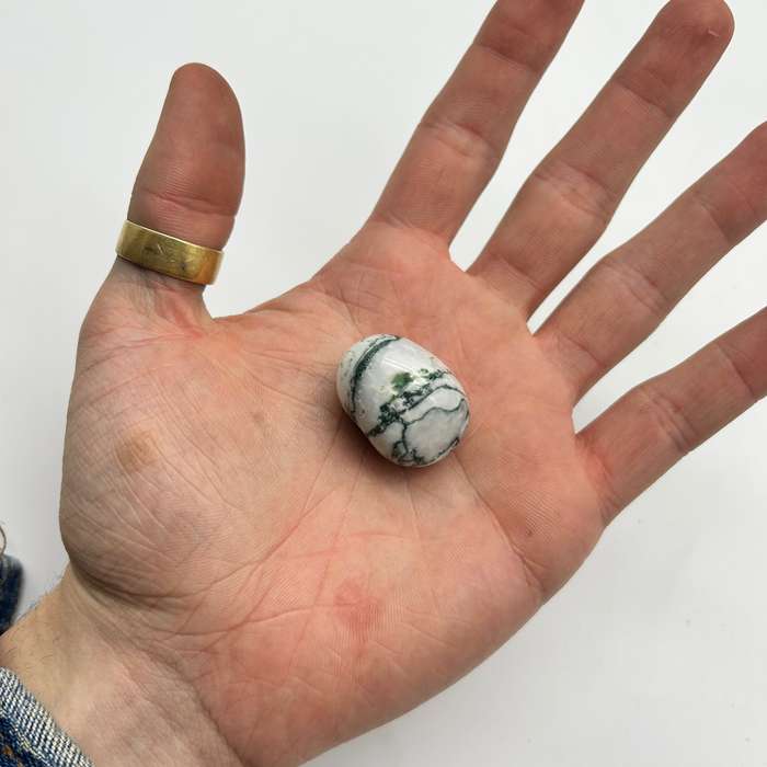 Tumbled Tree Agate
