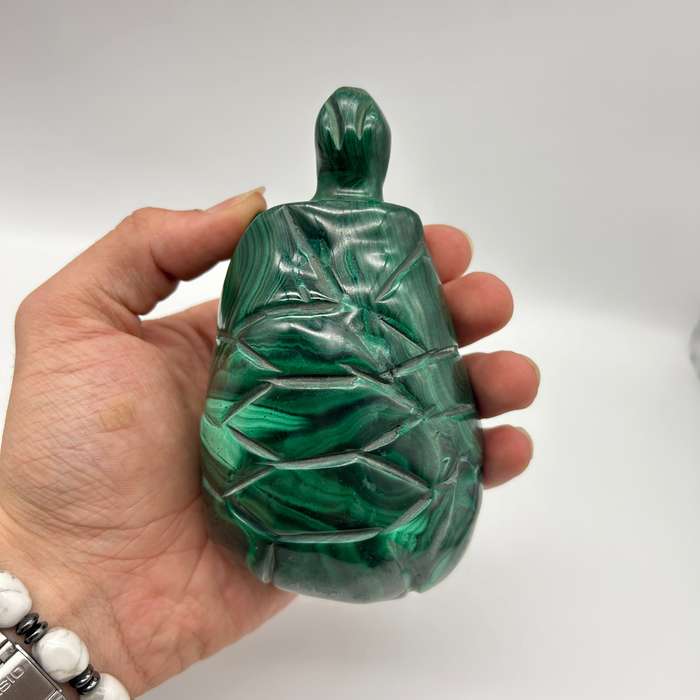 Malachite Crystal Tortoise