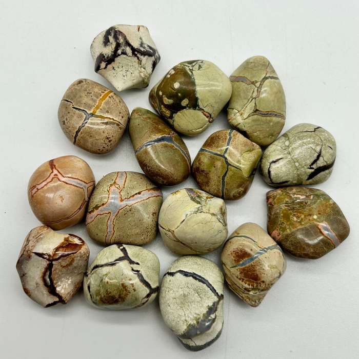 Tumbled Thunder Egg