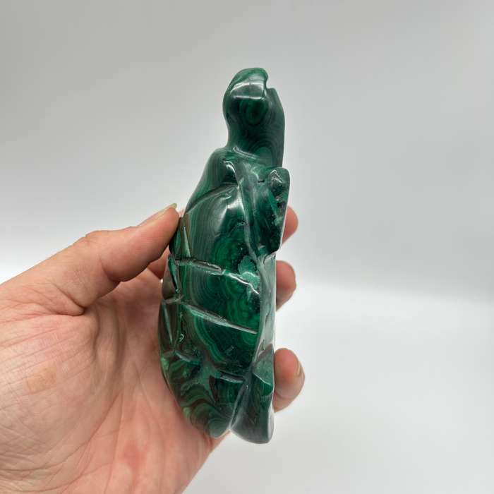 Malachite Crystal Tortoise