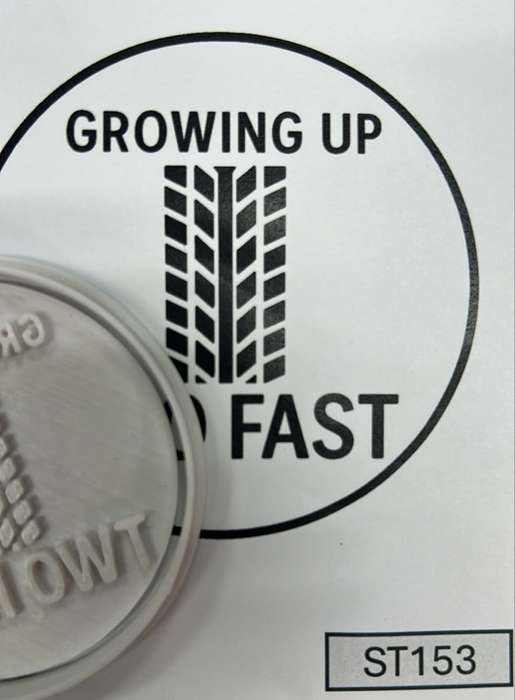 ST153  Growing Up Two Fast Cupcake Stamp
