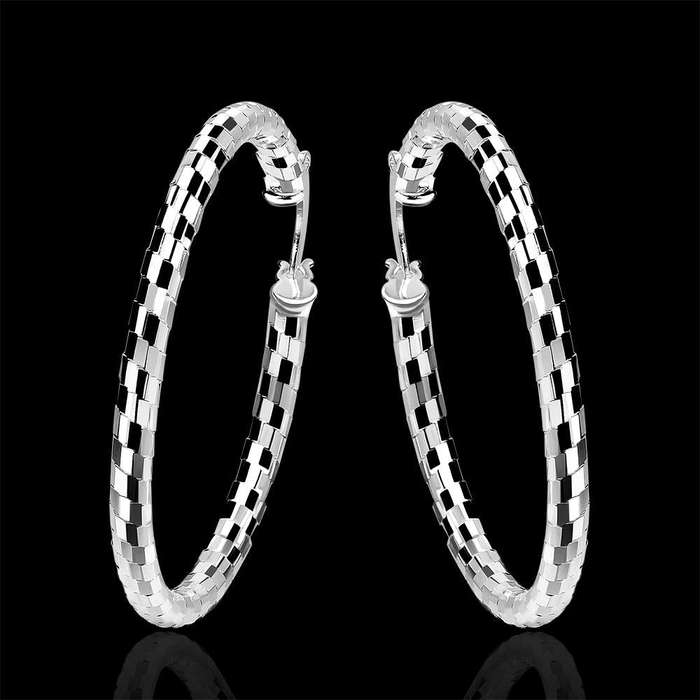 Lucky Silver - Silver Designer Round Hoop Paved Earrings - LOCAL STOCK - LSE594