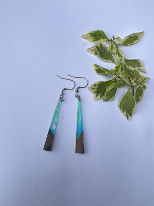 Colour blast Resin on Wood earrings