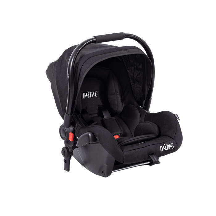 Car Pack: Car Seat and Isofix Base | Black  | End of Range