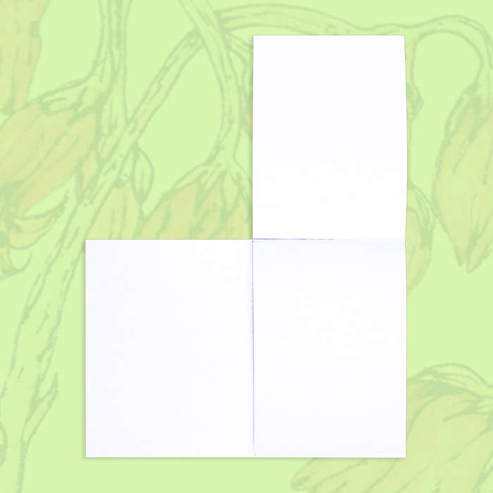 Pigs Ear A7 Notebook