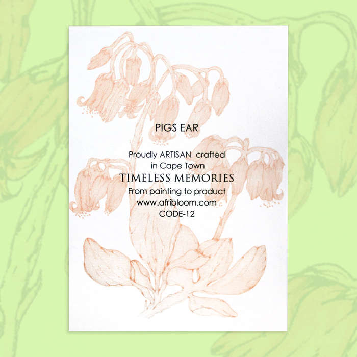 Pigs Ear A7 Notebook