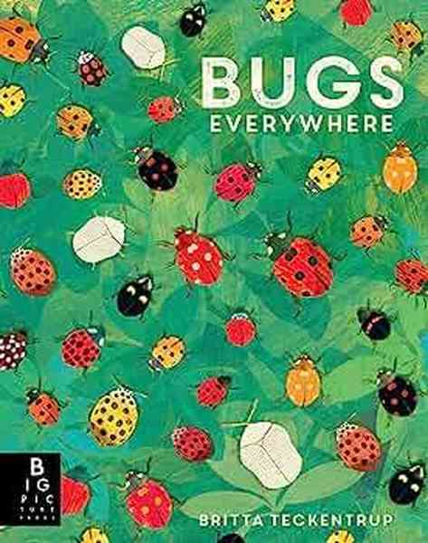There are Bugs Everywhere