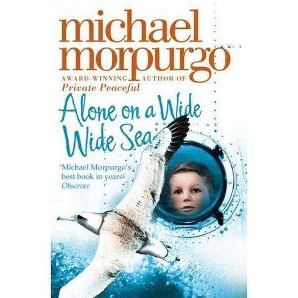 Alone On A Wide Wide Sea