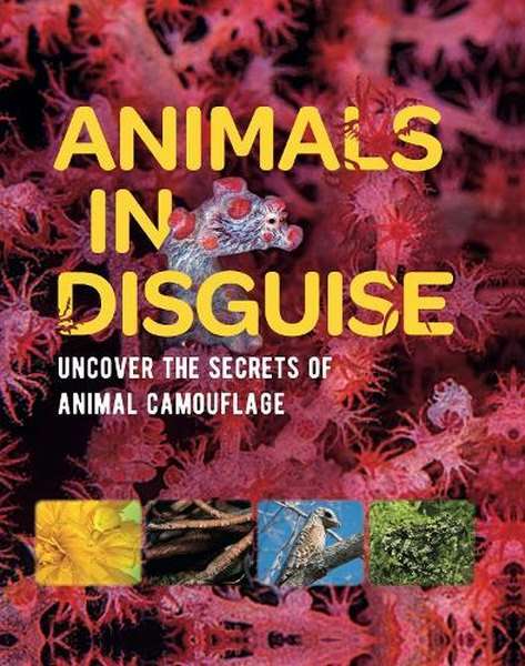 Animals In Disguise